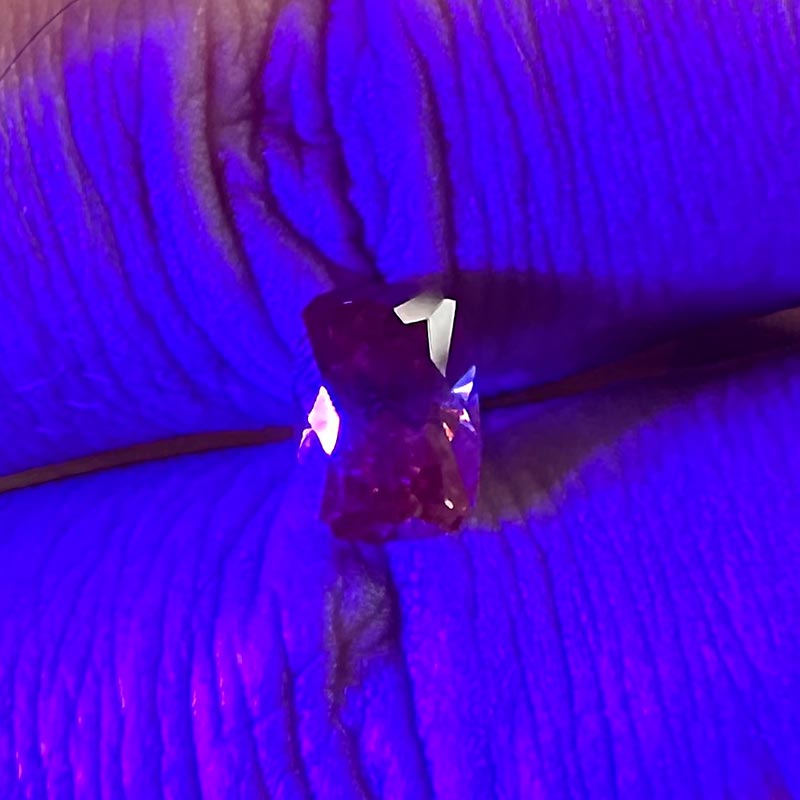 Sleeping Dragon Malaya Garnet view 3