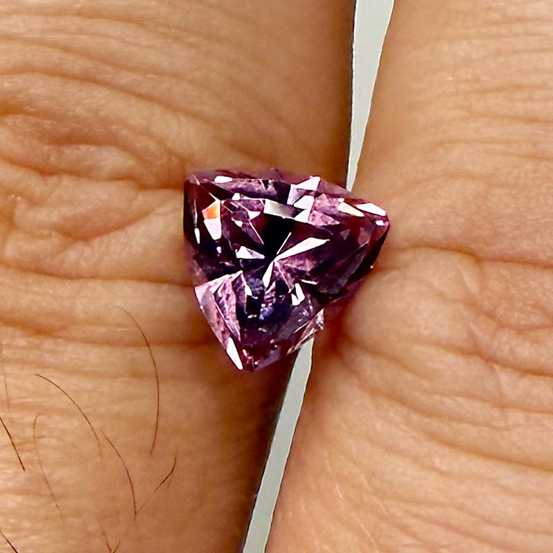  Dragon Malaya Garnet view 2