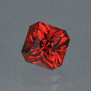 Gypsy Rose Garenet by John Dyer